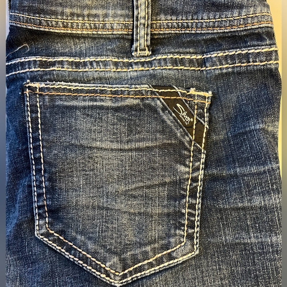 Silver Jeans Women's Elyse Skinny  Blue Jeans